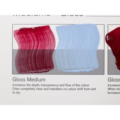 Winsor & Newton Professional Acrylic Gloss Medium 250ml (Parlak Medyum)