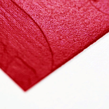 Winsor & Newton Galeria Iridescent Medium 500ml (Sedef Medyumu)