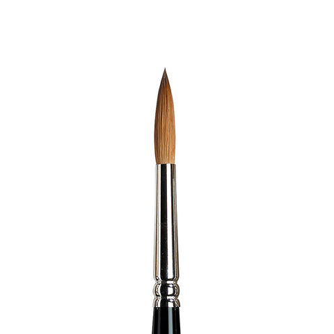 Winsor & Newton Series 7