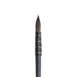 Winsor & Newton Profesyonel Sulu Boya Sentetik Sincap Kılı Fırça N:1