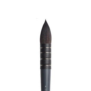 Winsor & Newton Profesyonel Sulu Boya Sentetik Sincap Kılı Fırça N:8