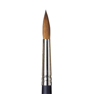 Winsor & Newton Professional Kolinsky Kısa Saplı Samur Yuvarlak Fırça N:10