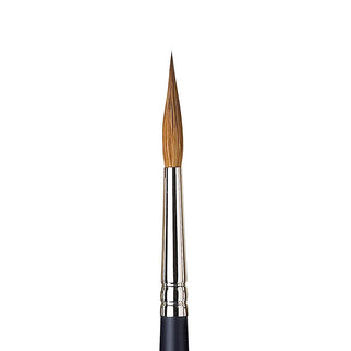 Winsor & Newton Professional Kolinsky Kısa Saplı Samur Sivri Uçlu Fırça N:6