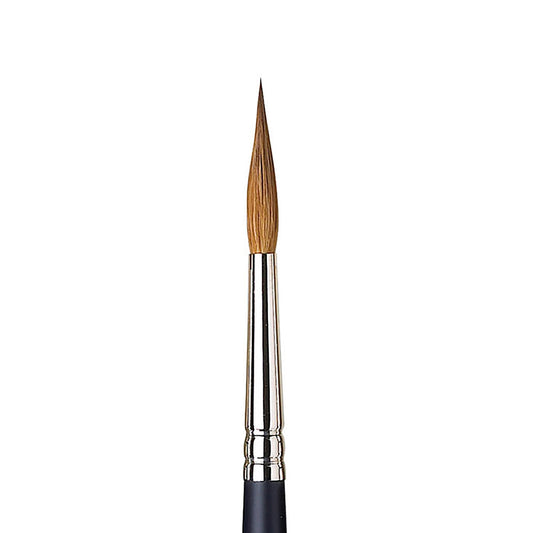 Winsor & Newton Professional Kolinsky Kısa Saplı Samur Sivri Uçlu Fırça N:6