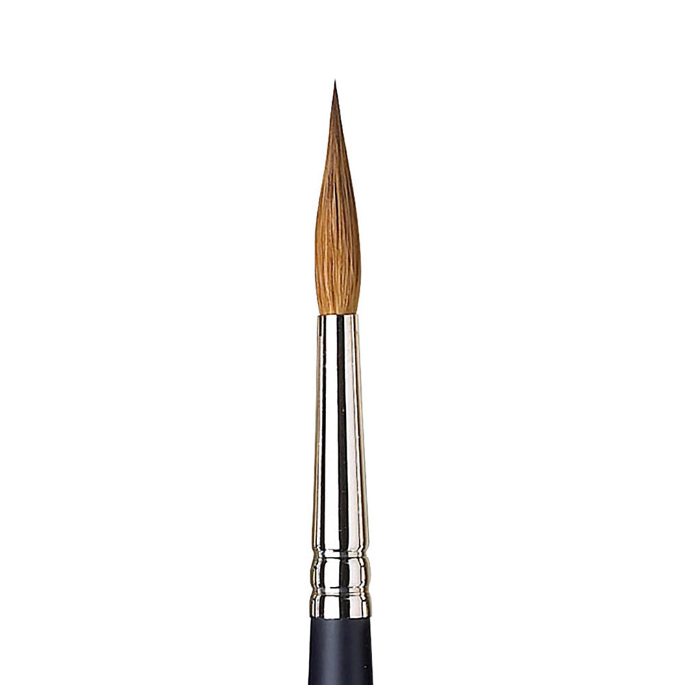 Winsor & Newton Professional Kolinsky Kısa Saplı Samur Sivri Uçlu Fırça N:7