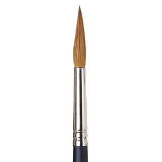 Winsor & Newton Professional Kolinsky Kısa Saplı Samur Sivri Uçlu Fırça N:8
