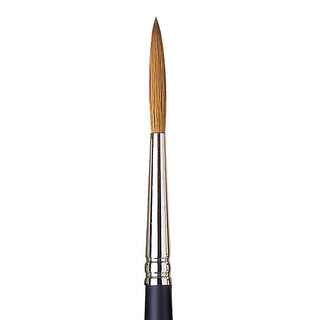 Winsor & Newton Professional Kolinsky Kısa Saplı Samur Çizgi/Yazı Fırçası N:5