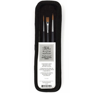Winsor & Newton Professional Kolinsky Kısa Saplı Samur Fırça Seti Çantalı (3 adet)