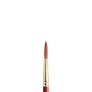 Winsor & Newton Sceptre Gold II Seri 101 Kısa Saplı Yuvarlak Fırça N:6