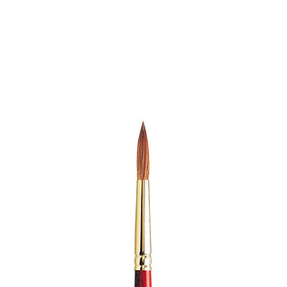 Winsor & Newton Sceptre Gold II Seri 101 Kısa Saplı Yuvarlak Fırça N:7