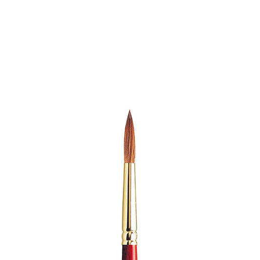Winsor & Newton Sceptre Gold II Seri 101 Kısa Saplı Yuvarlak Fırça N:7