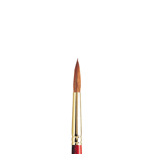 Winsor & Newton Sceptre Gold II Seri 101 Kısa Saplı Yuvarlak Fırça N:8