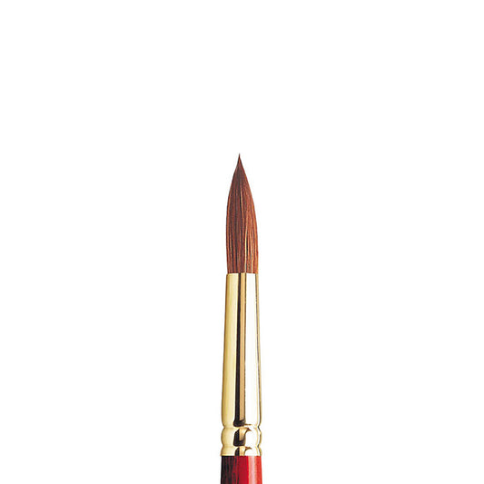 Winsor & Newton Sceptre Gold II Seri 101 Kısa Saplı Yuvarlak Fırça N:10