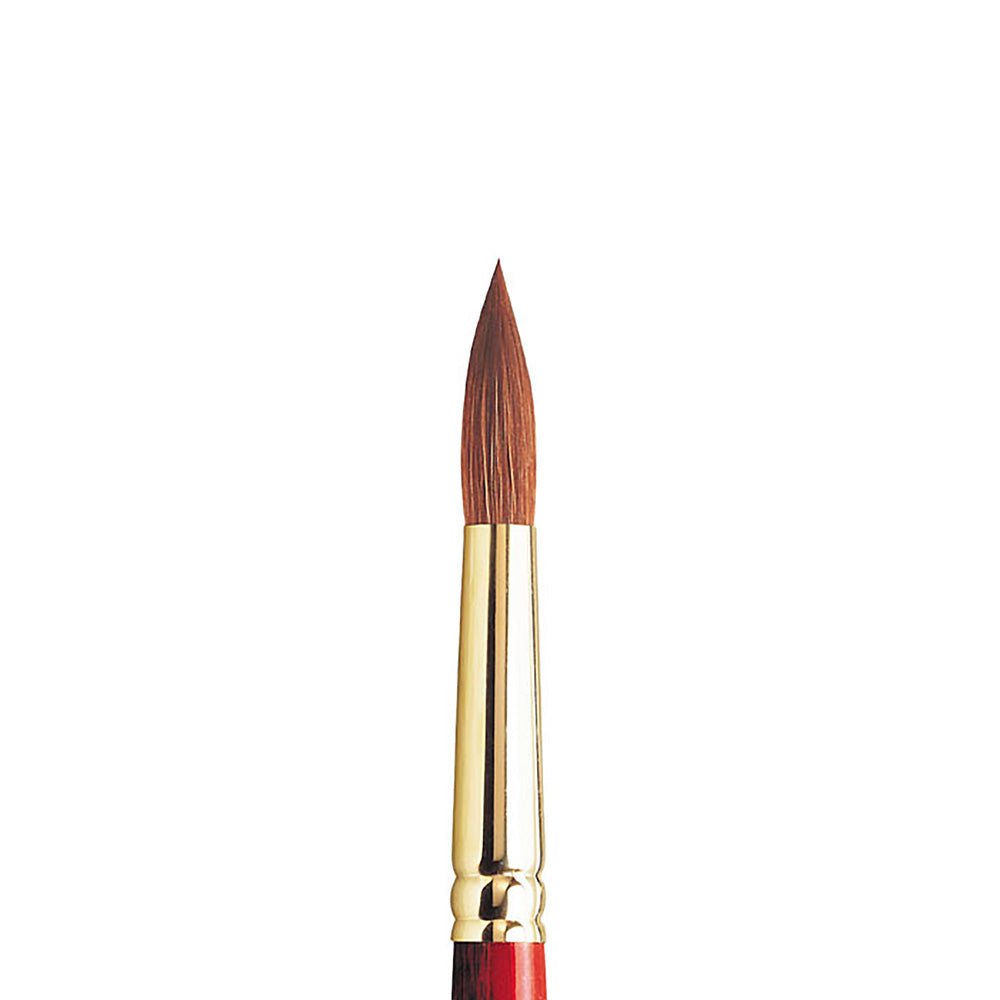 Winsor & Newton Sceptre Gold II Seri 101 Kısa Saplı Yuvarlak Fırça N:12