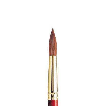 Winsor & Newton Sceptre Gold II Seri 101 Kısa Saplı Yuvarlak Fırça N:12