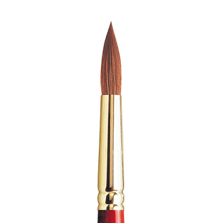 Winsor & Newton Sceptre Gold II Seri 101 Kısa Saplı Yuvarlak Fırça N:14
