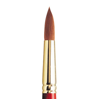 Winsor & Newton Sceptre Gold II Seri 101 Kısa Saplı Yuvarlak Fırça N:16