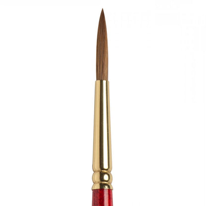 Winsor & Newton Sceptre Gold II Seri 202 Kısa Saplı Tasarım/Detay Fırçası N:6