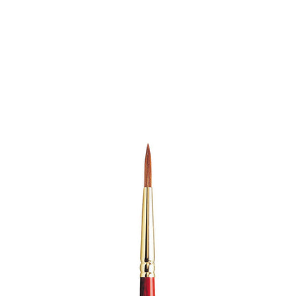 Winsor & Newton Sceptre Gold II Seri 404 Uzun Saplı Yuvarlak Fırça N:4