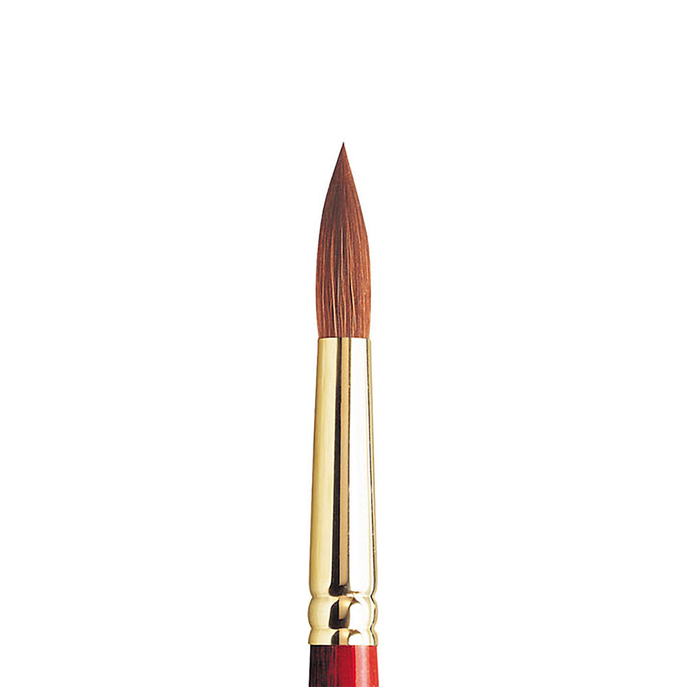 Winsor & Newton Sceptre Gold II Seri 404 Uzun Saplı Yuvarlak Fırça N:12