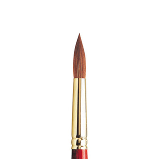 Winsor & Newton Sceptre Gold II Seri 404 Uzun Saplı Yuvarlak Fırça N:12
