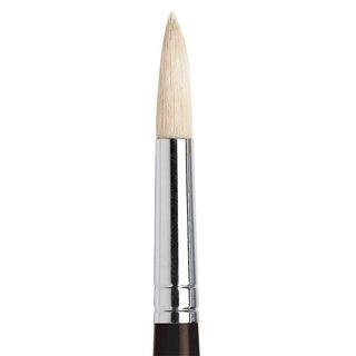 Winsor & Newton Azanta Black Uzun Saplı Kıl Yuvarlak Fırça N:12