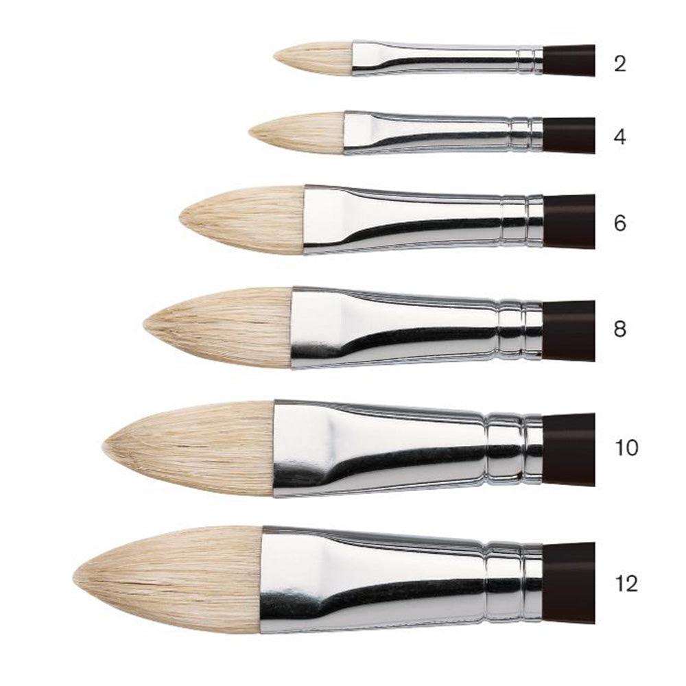 Winsor & Newton Azanta Black Uzun Saplı Kıl Kedidili Fırça N:12