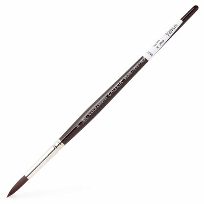 Winsor & Newton Galeria Uzun Saplı Sentetik Yuvarlak Fırça N:8