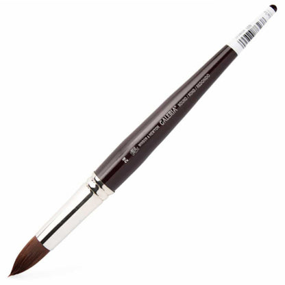 Winsor & Newton Galeria Uzun Saplı Sentetik Yuvarlak Fırça N:24