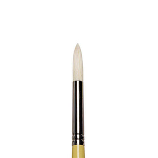 Winsor & Newton Artists' Hog Uzun Saplı Kıl Yuvarlak Fırça N:8