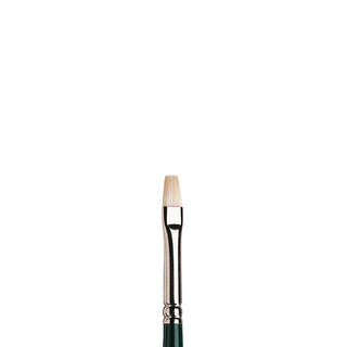 Winsor & Newton Winton Uzun Saplı Kıl Kısa Yassı Fırça N:2