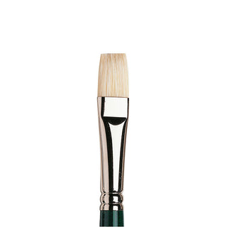 Winsor & Newton Winton Uzun Saplı Kıl Kısa Yassı Fırça N:8