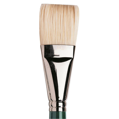 Winsor & Newton Winton Uzun Saplı Kıl Kısa Yassı Fırça N:16