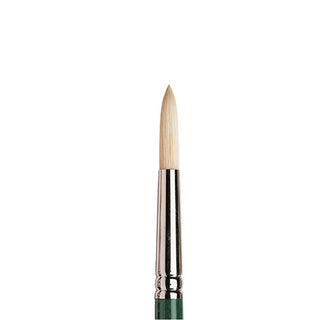 Winsor & Newton Winton Uzun Saplı Kıl Yuvarlak Fırça N:8
