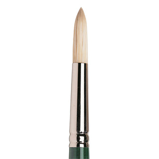 Winsor & Newton Winton Uzun Saplı Kıl Yuvarlak Fırça N:12