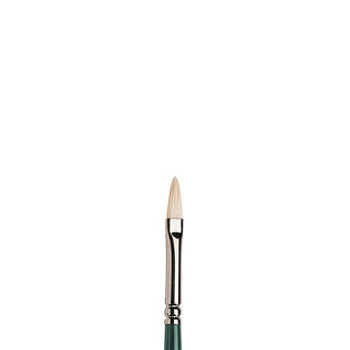Winsor & Newton Winton Uzun Saplı Kıl Kedidili Fırça N:1