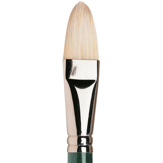 Winsor & Newton Winton Uzun Saplı Kıl Kedidili Fırça N:12