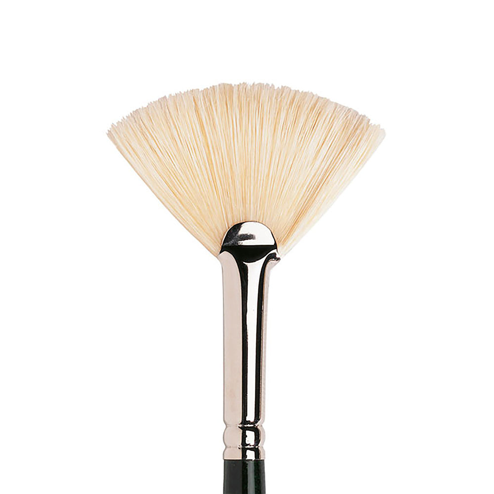 Winsor & Newton Winton Uzun Saplı Kıl Yelpaze Fırça N:8