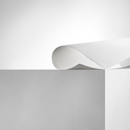 Winsor & Newton Professional Watercolour Paper Rough 640gr 56x76cm