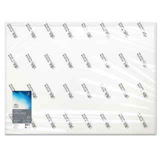 Winsor & Newton Professional Sulu Boya Kağıdı Sıcak Baskı 300gr 56x76cm