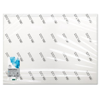 Winsor & Newton Sulu Boya Kağıdı Soğuk Baskı 300gr 56x76cm