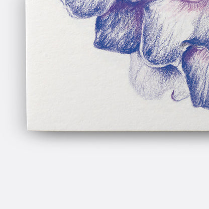 Winsor & Newton Çizim Bloknotu (Yapışkanlı) Dokusuz 220gr A5 (14.8x21cm) 25 Sayfa