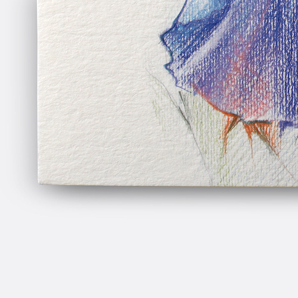 LV-WN-6691012 - Görsel 2