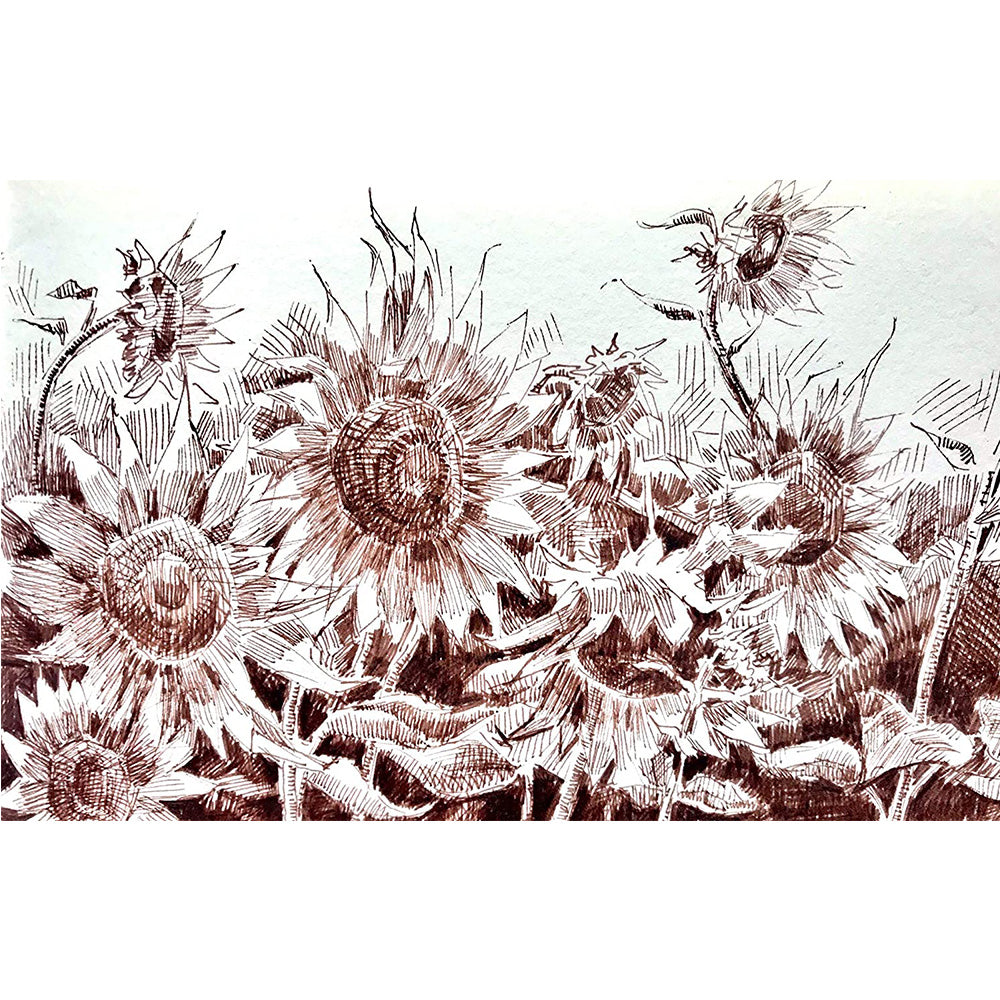 Winsor & Newton Fineliner 0.5mm Sepya İnce Çizim Kalemi