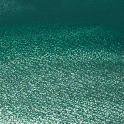 Winsor & Newton Professional Sulu Boya Cobalt Green Deep 185 S.3 (Yarım Tablet)