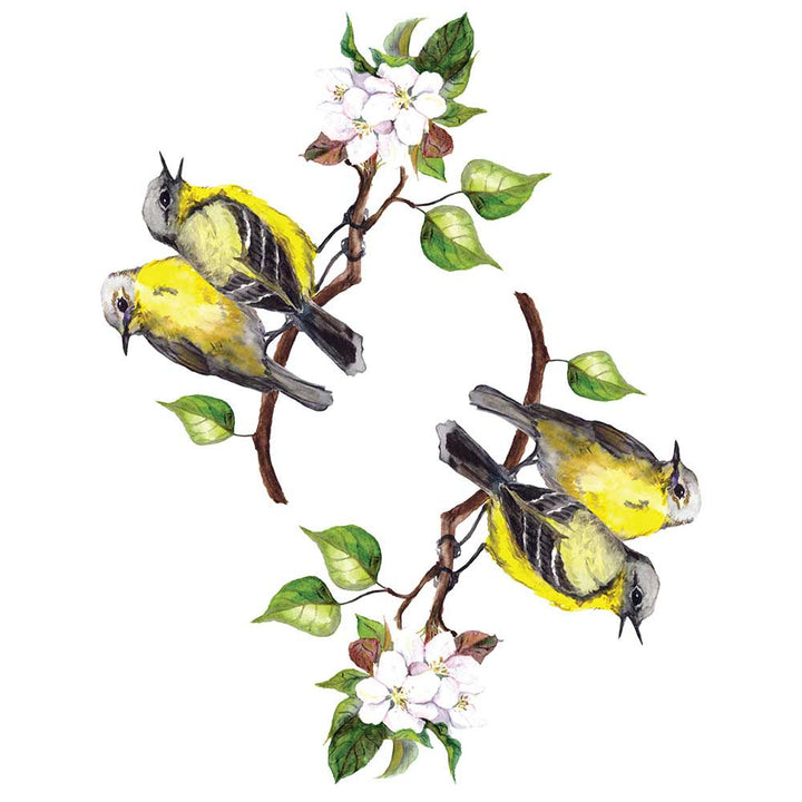 Ürünler – Page 15 – Colorbox