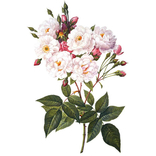 Artdeco Kolay Transfer 17x25cm Desen No:37