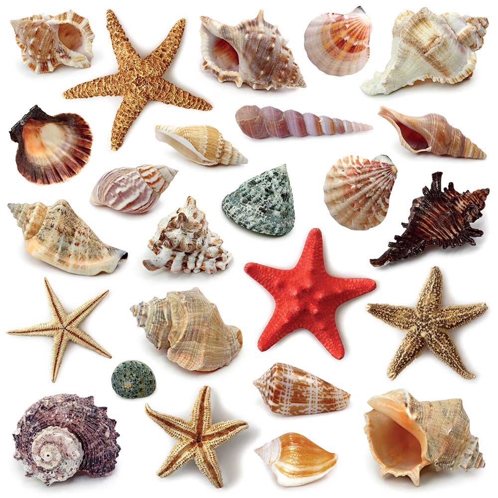 Artdeco Kolay Transfer 25x35cm Desen No:5