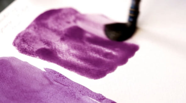 Maksimum Pigment Yoğunluğu