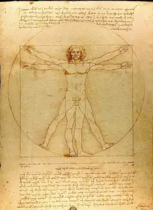 Vitruvius Adamı - 1492 - Kağıt üzerine mürekkep, 34 cm x 25 cm